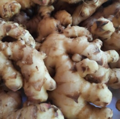 Sri Lankan Ginger